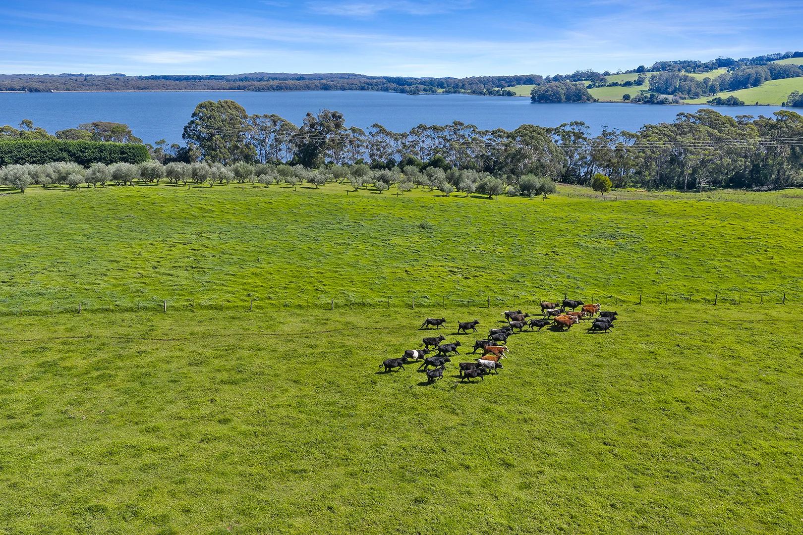 Additional image 8 of 305 Myra Vale Road, Wildes Meadow NSW 2577