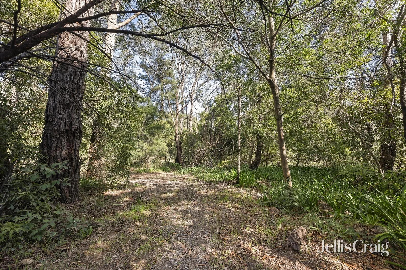 Additional image 5 of 38 Thomas Crescent, Lilydale VIC 3140