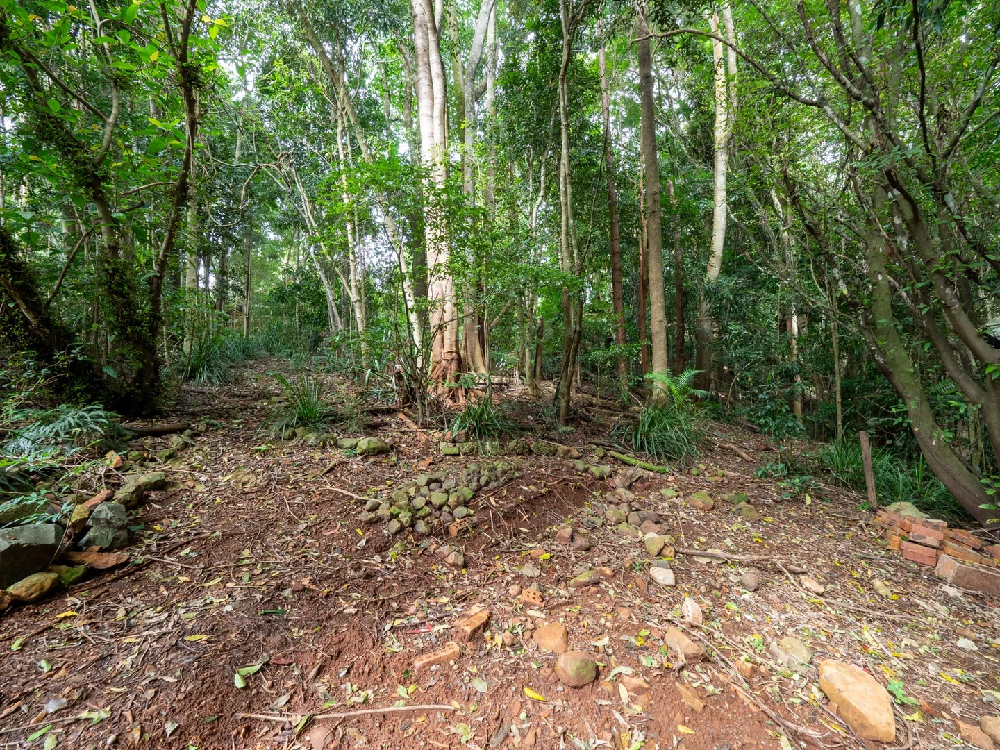 Additional image 7 of 21 Carrington Drive, Flaxton QLD 4560
