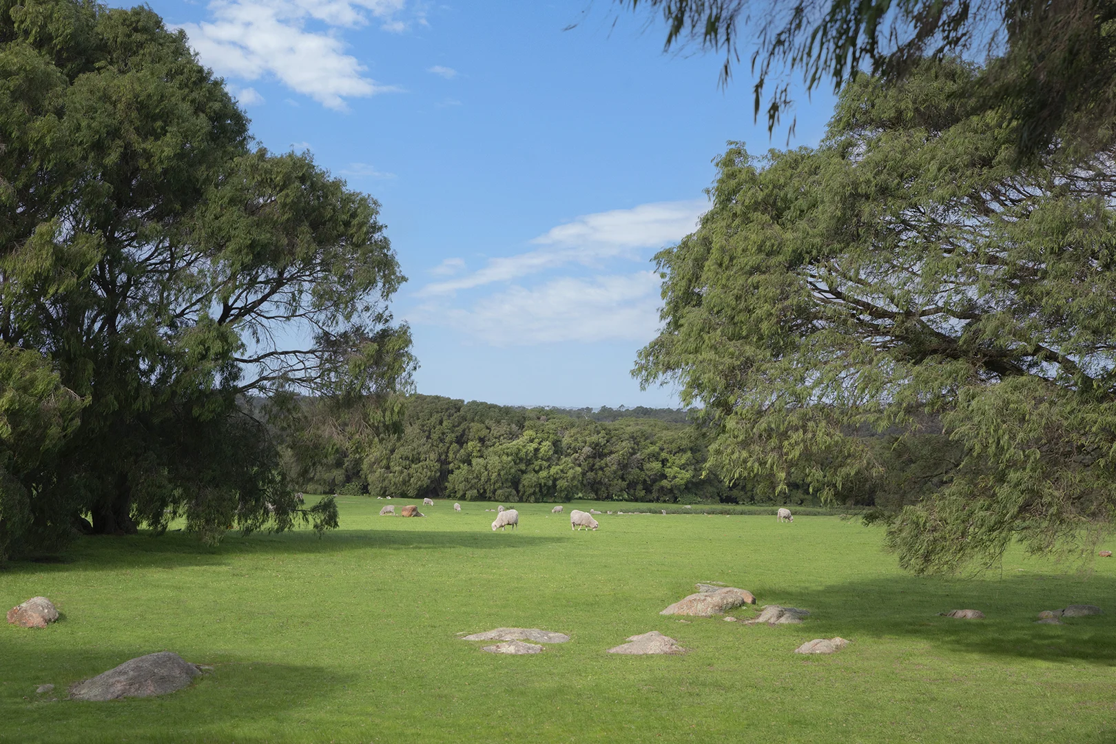 Additional image 4 of Lot 46 Blackwood Grove, Kudardup WA 6290