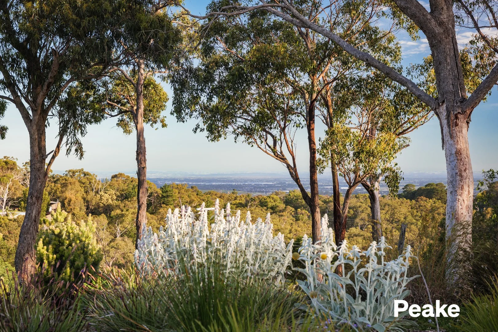 Additional image 5 of 35 Keith Parade, Beaconsfield VIC 3807