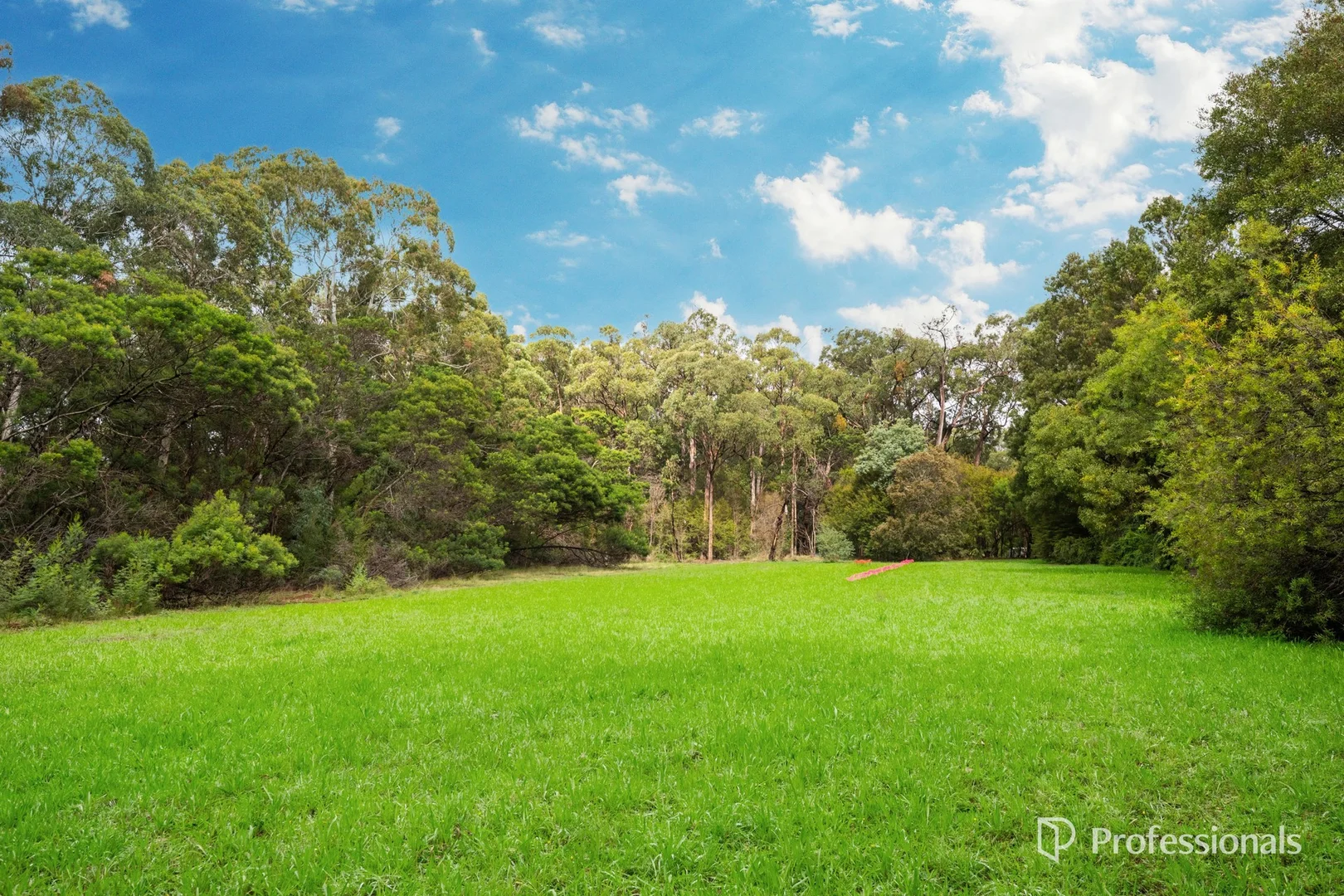 Additional image 13 of 160 Worlley Road, Hoddles Creek VIC 3139