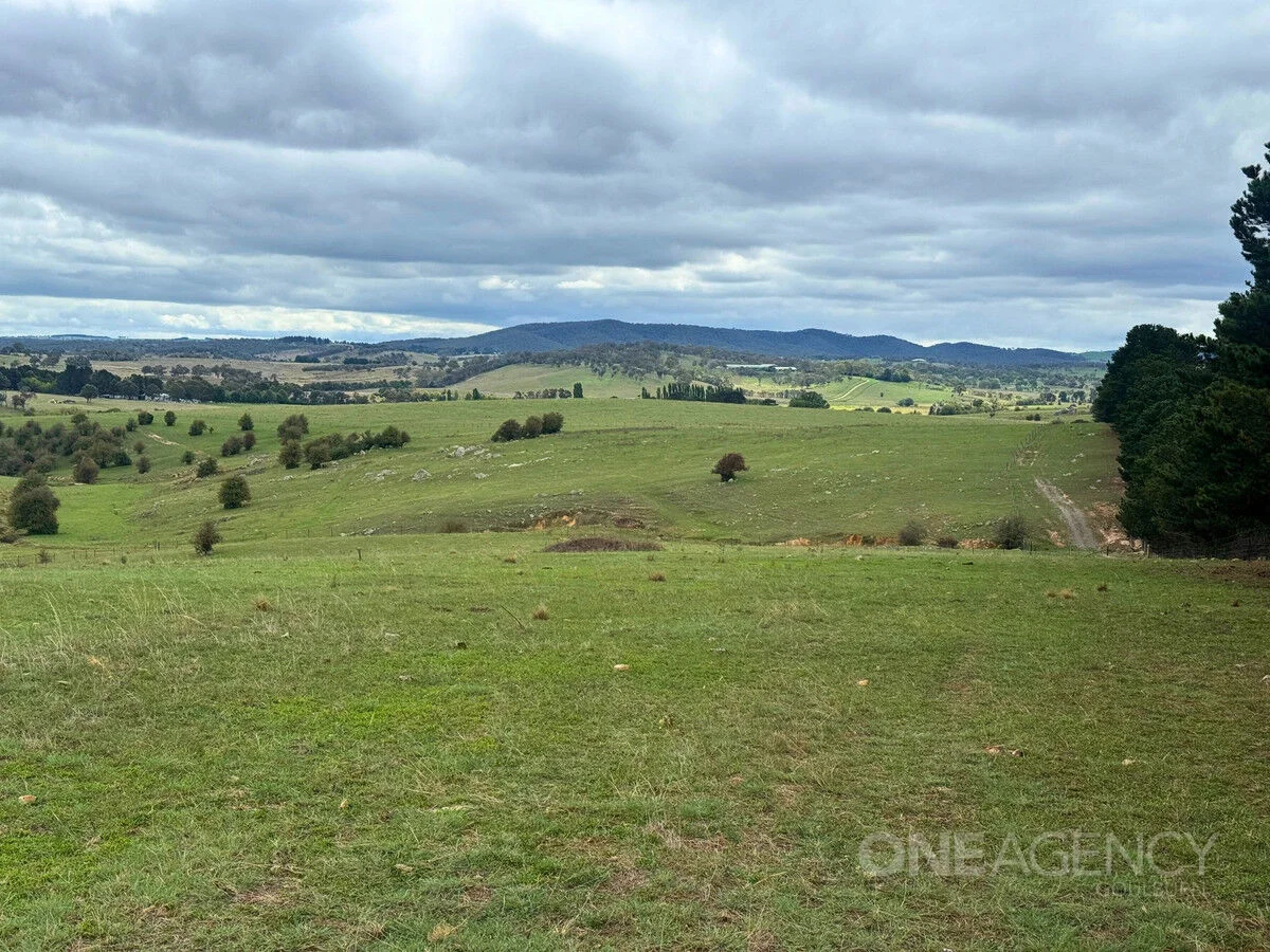 Additional image 9 of 255 Gurrundah Road, Goulburn NSW 2580