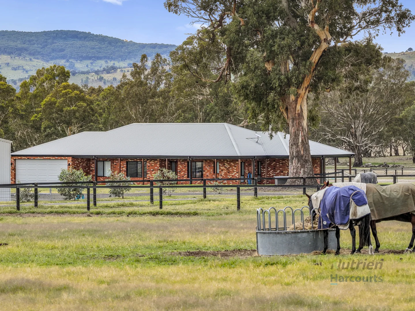 Additional image 14 of 80 Millards Lane, Euroa VIC 3666