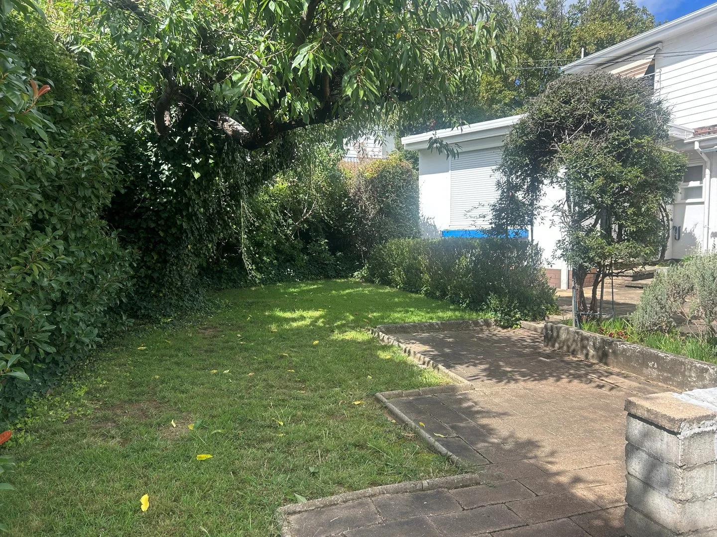 Additional image 9 of 4 Randell Street, Dickson ACT 2602
