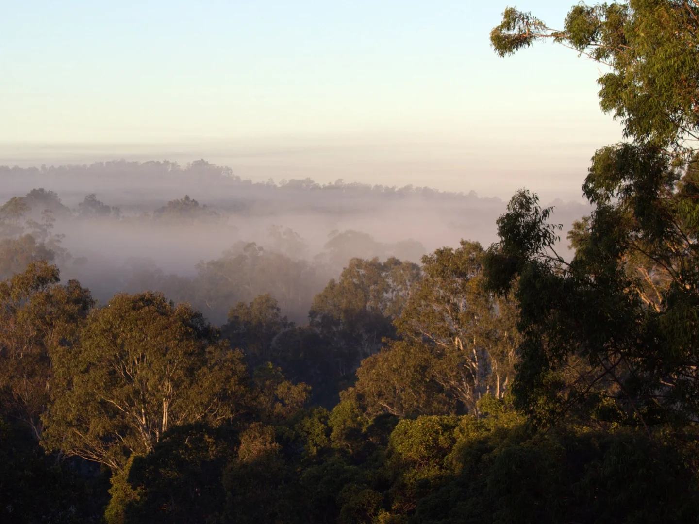 Additional image 29 of 27 O'keeffe Road, Mothar Mountain QLD 4570