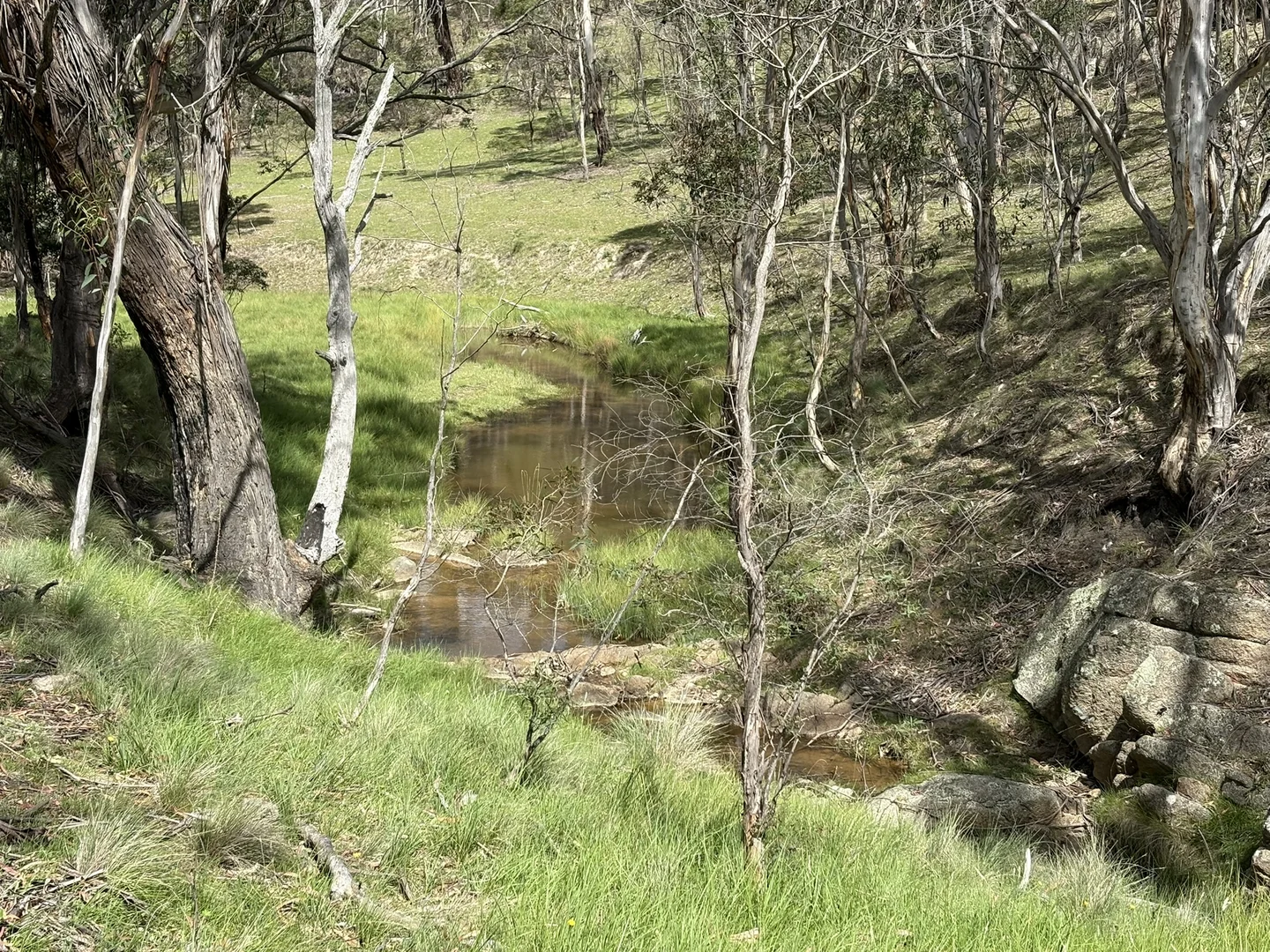 Additional image 19 of 29, 175 Tumbledown Road, Peak View NSW 2630