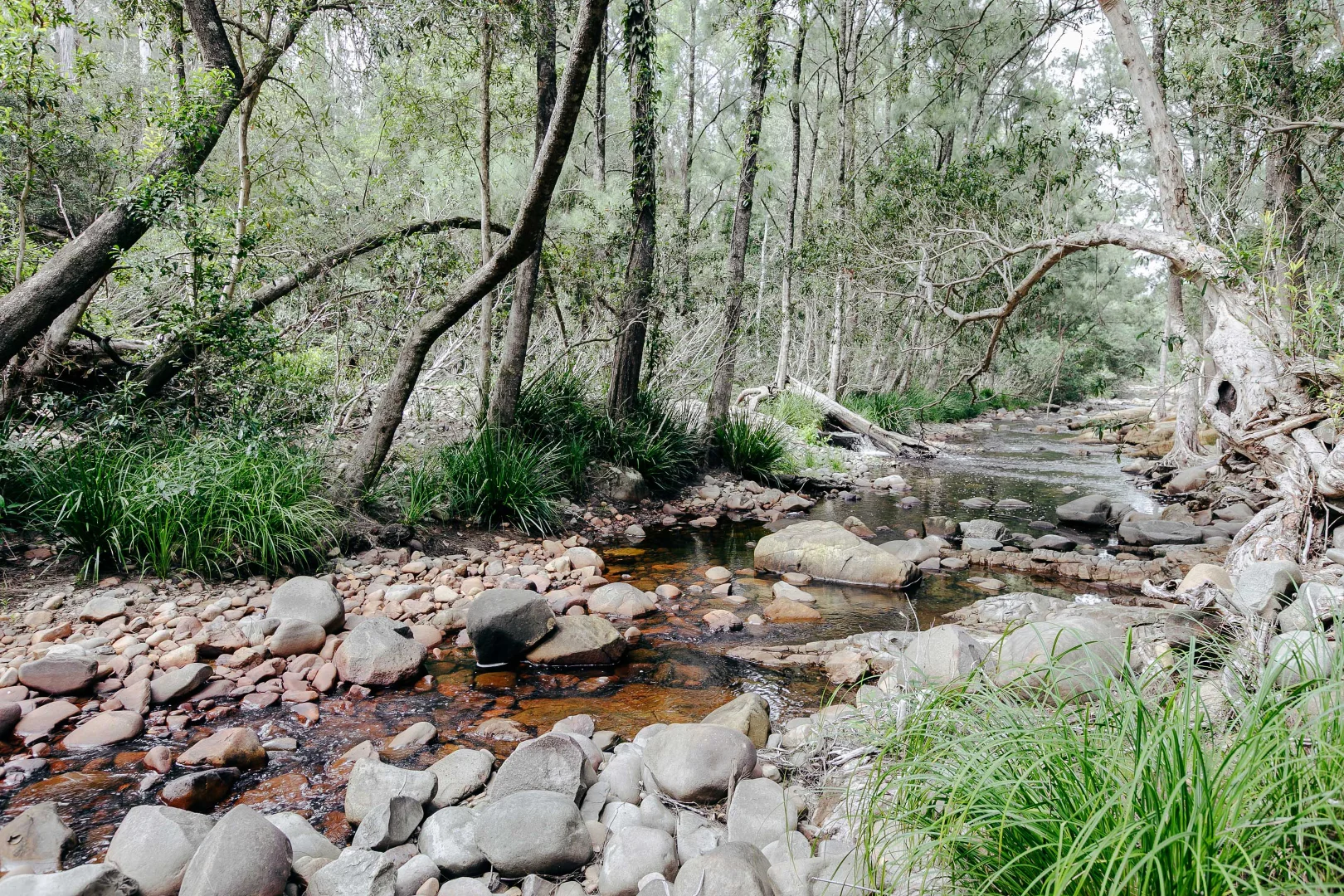Additional image 33 of 1182 Upper Monkerai Road, Monkerai NSW 2415