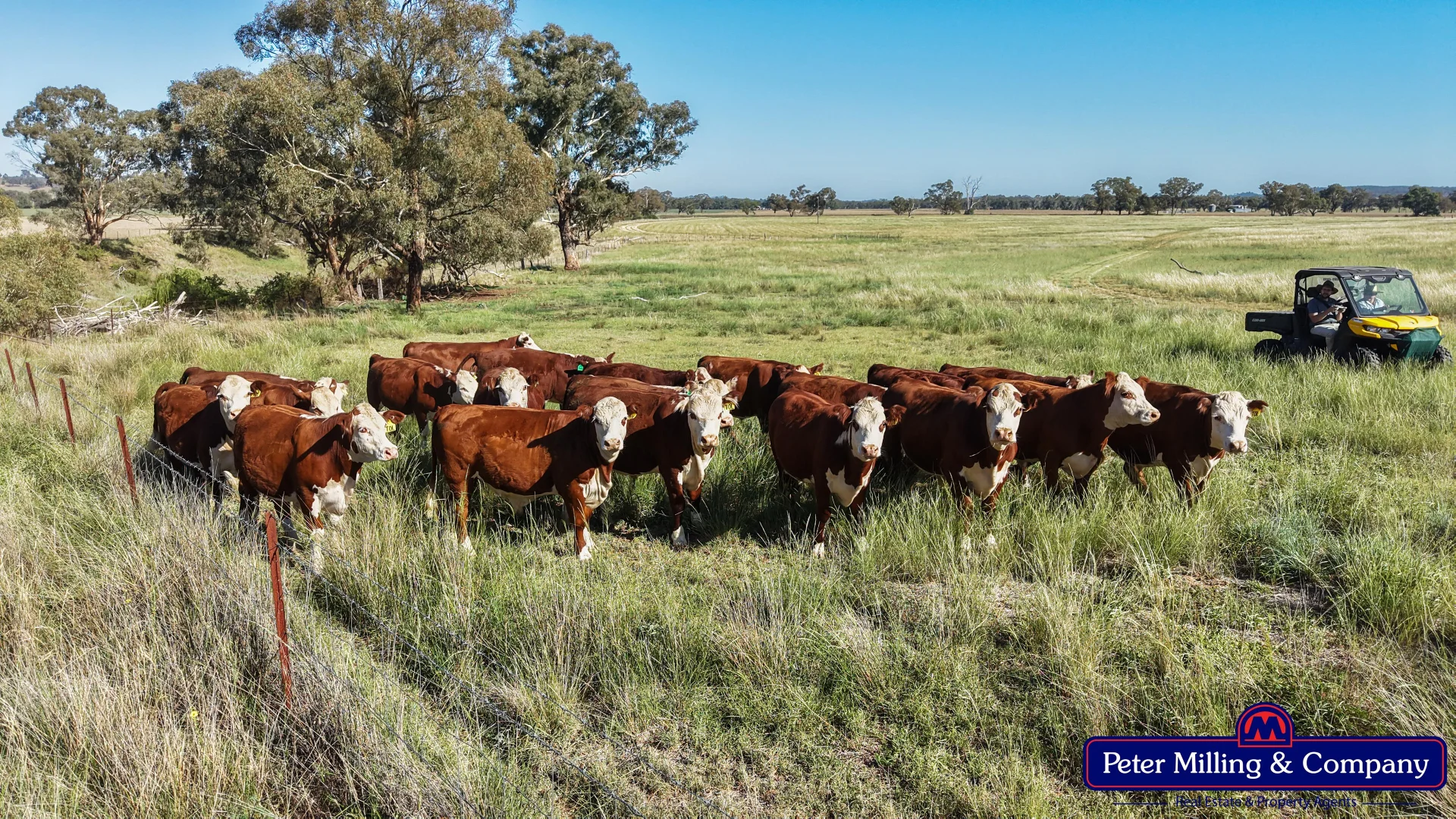 Additional image 16 of 59 Piambra Road, Binnaway NSW 2395