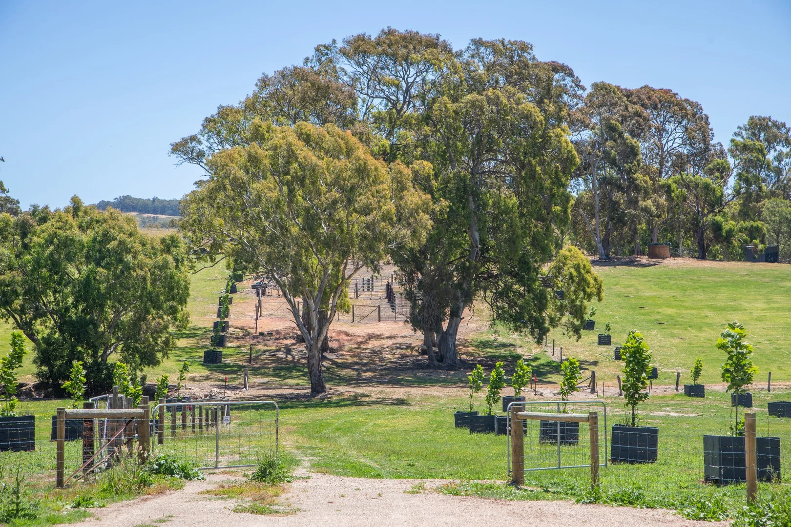 764 (Sec 2989) Flaxley Road, Flaxley SA 5153