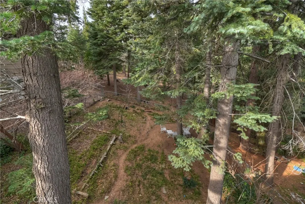 Additional image 101 of 696 Rose Lane, Twin Peaks, CA 92391