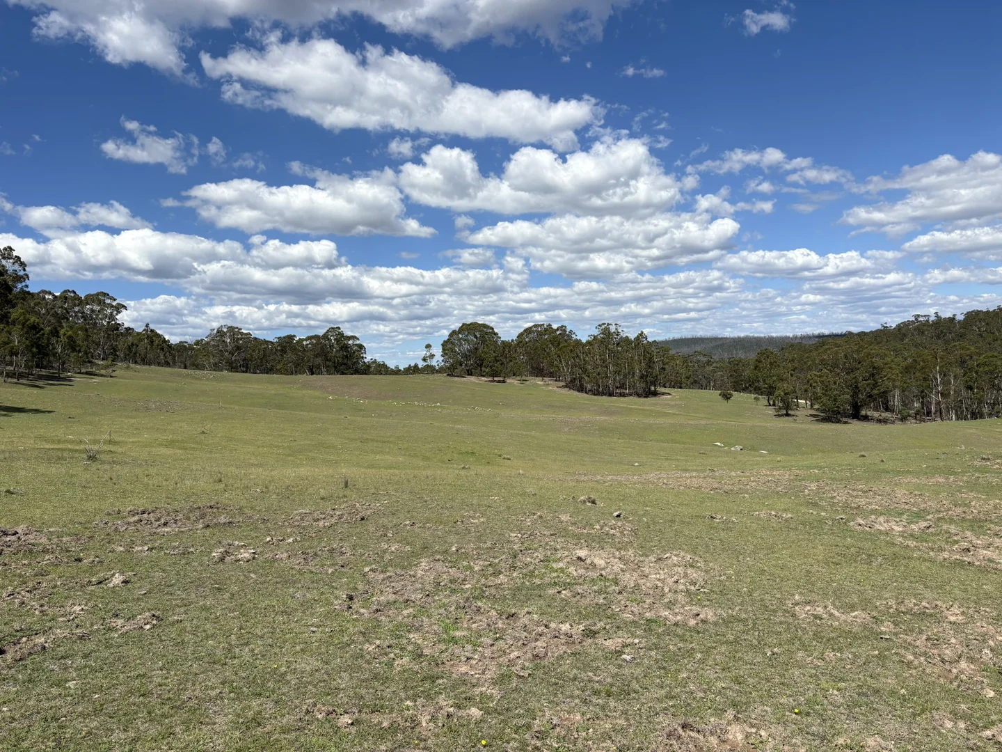 Additional image 13 of 29, 175 Tumbledown Road, Peak View NSW 2630