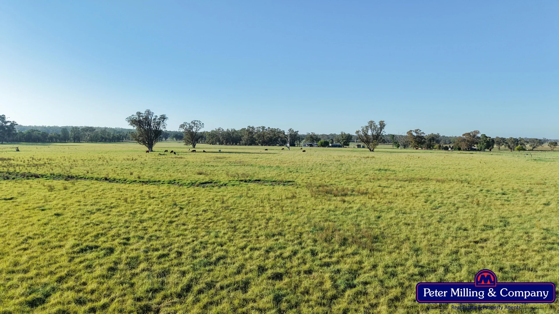 Additional image 7 of 59 Piambra Road, Binnaway NSW 2395