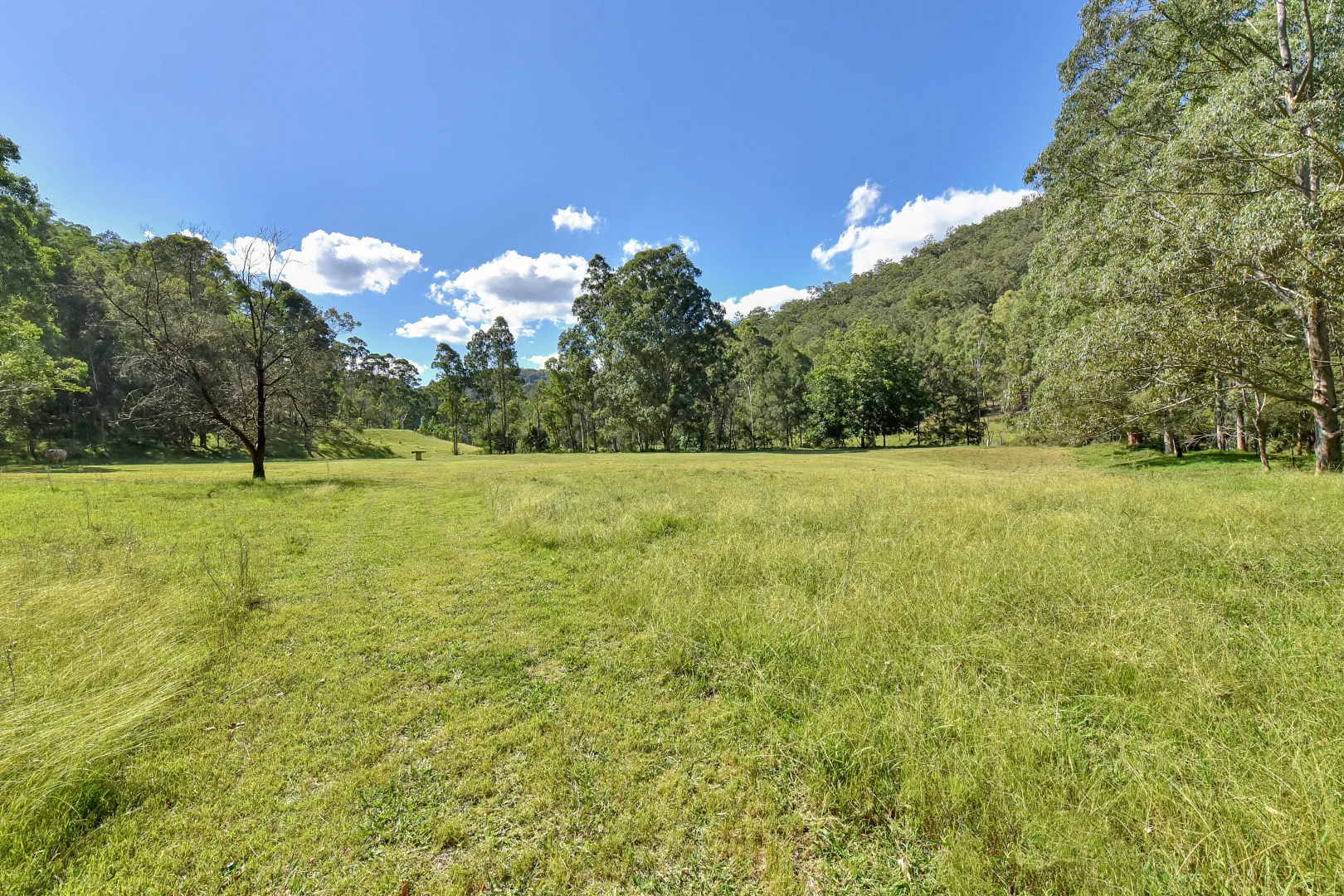 Additional image 18 of 181 Coolawine Rd, Wollombi NSW 2325