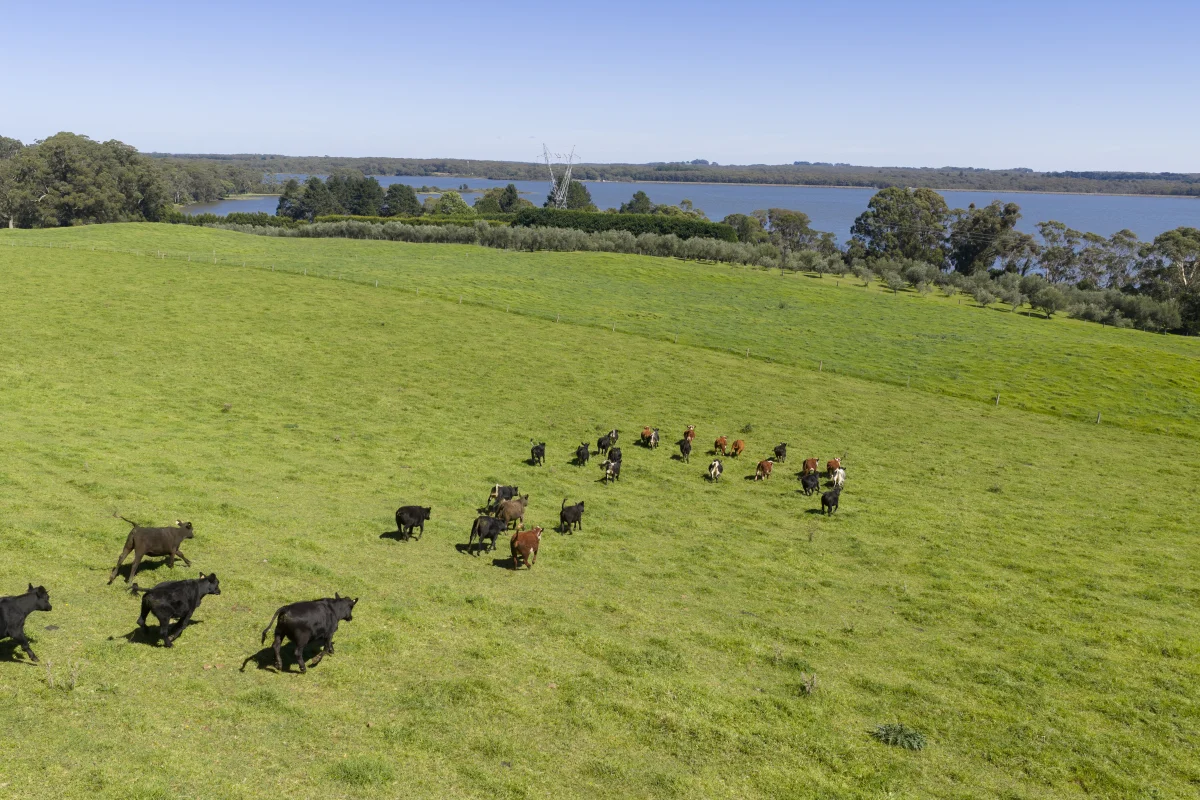 Additional image 5 of 305 Myra Vale Road, Wildes Meadow NSW 2577