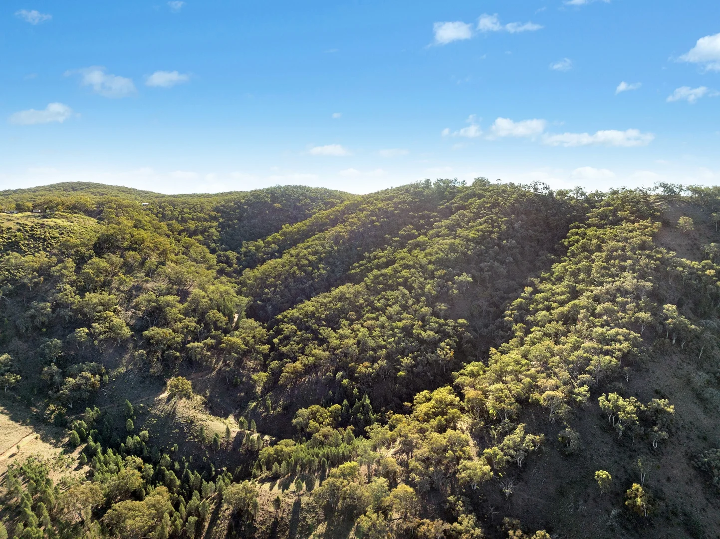 Additional image 18 of 1018 Mount Aquila Road, Stuart Town NSW 2820