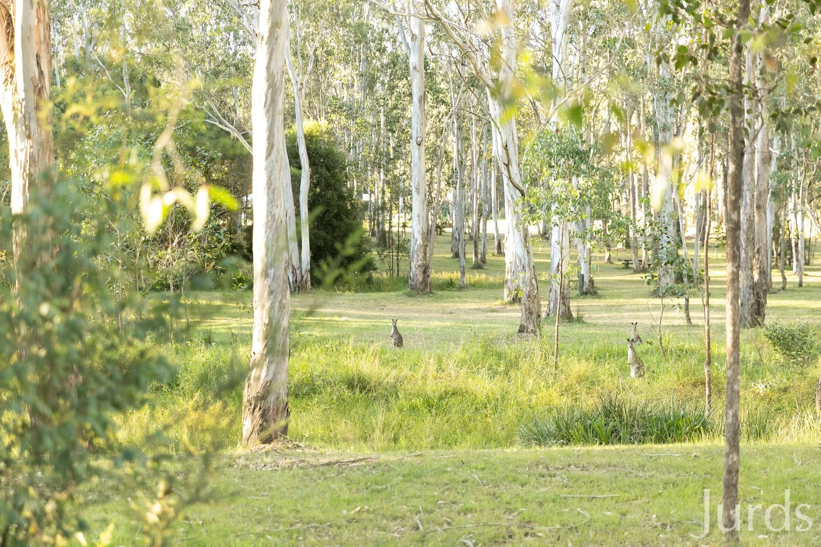 Additional image 5 of 82 Millfield Road, Paxton NSW 2325