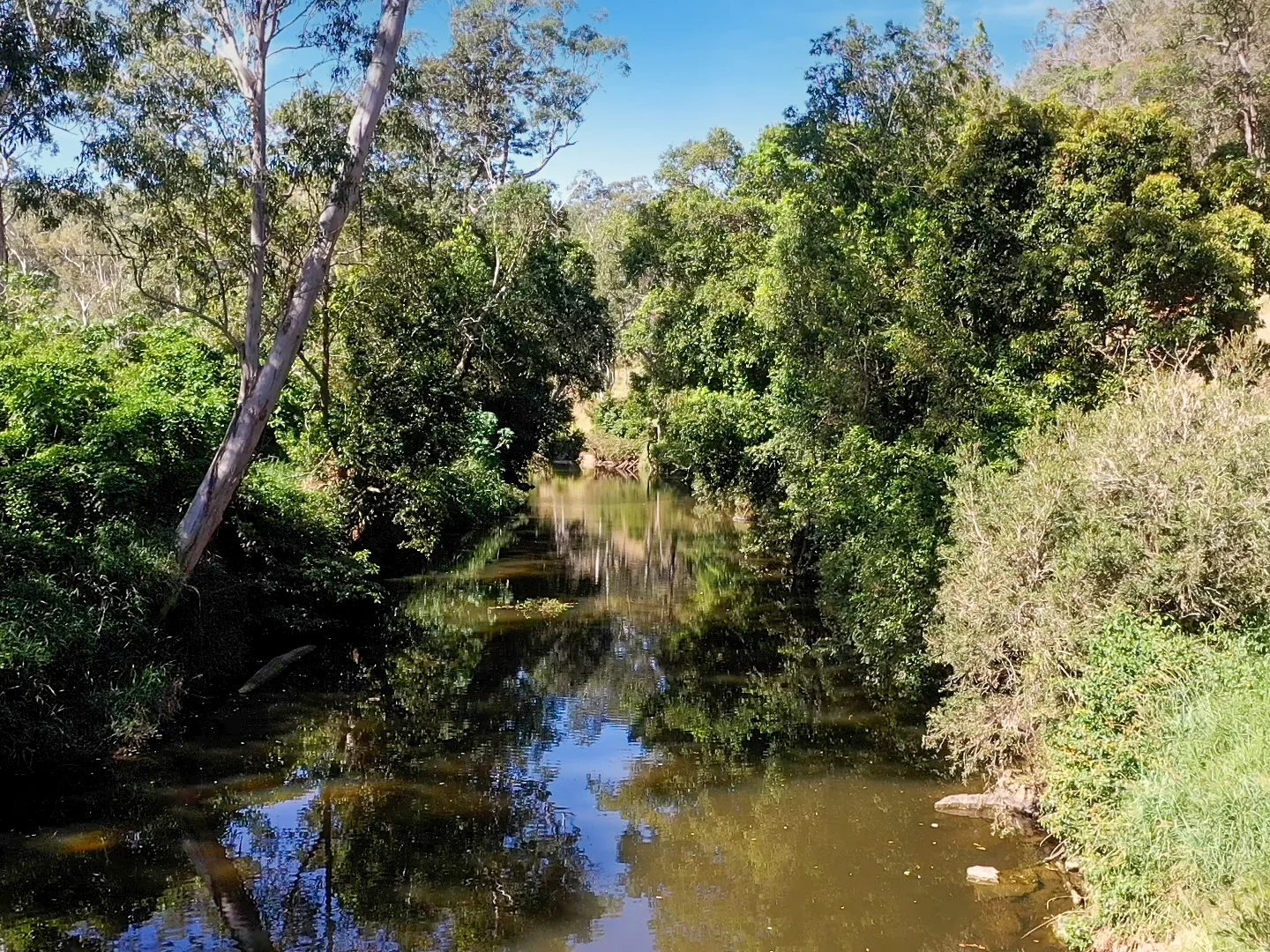 Additional image 26 of 246-274 Rasmussen Road, Neurum QLD 4514