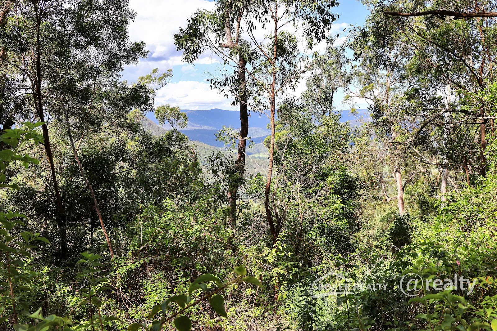Additional image 5 of 260 Collins Valley Road, Collins Creek NSW 2474