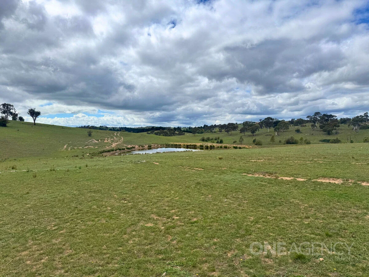 Additional image 12 of 255 Gurrundah Road, Goulburn NSW 2580
