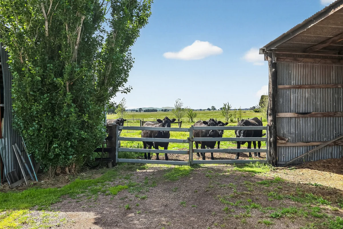 Additional image 17 of 'Avon Park Farm' 310 Chocolyn Road, Camperdown VIC 3260
