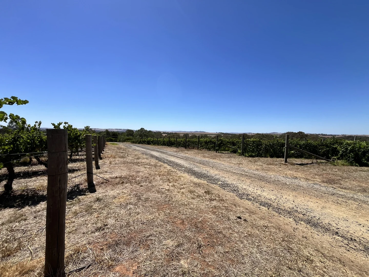 Additional image 14 of Lot 10 Chardonnay Lane, Cowra NSW 2794