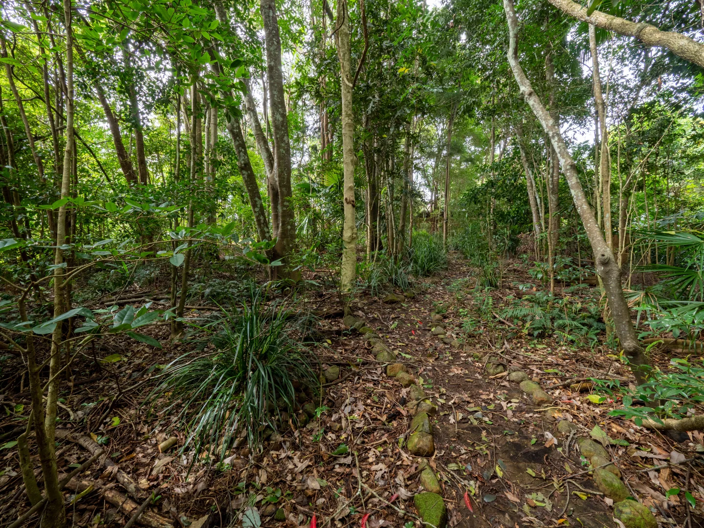 Additional image 10 of 21 Carrington Drive, Flaxton QLD 4560