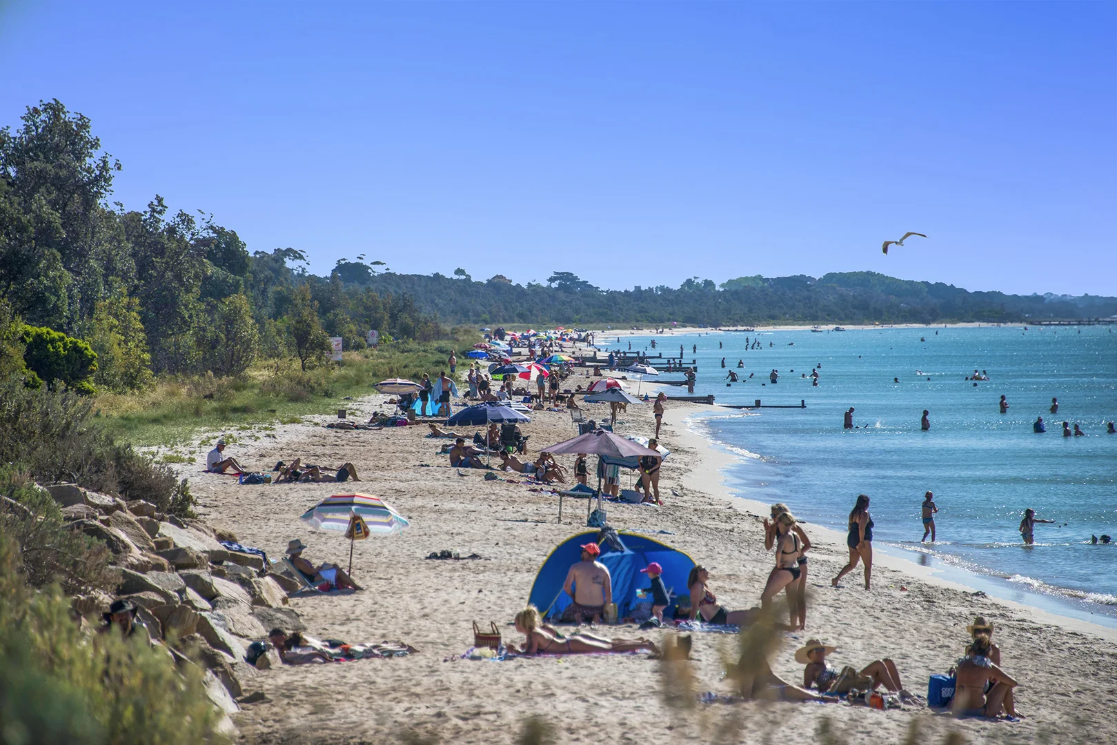 Additional image 13 of 2/74 Rainier Avenue, Dromana VIC 3936