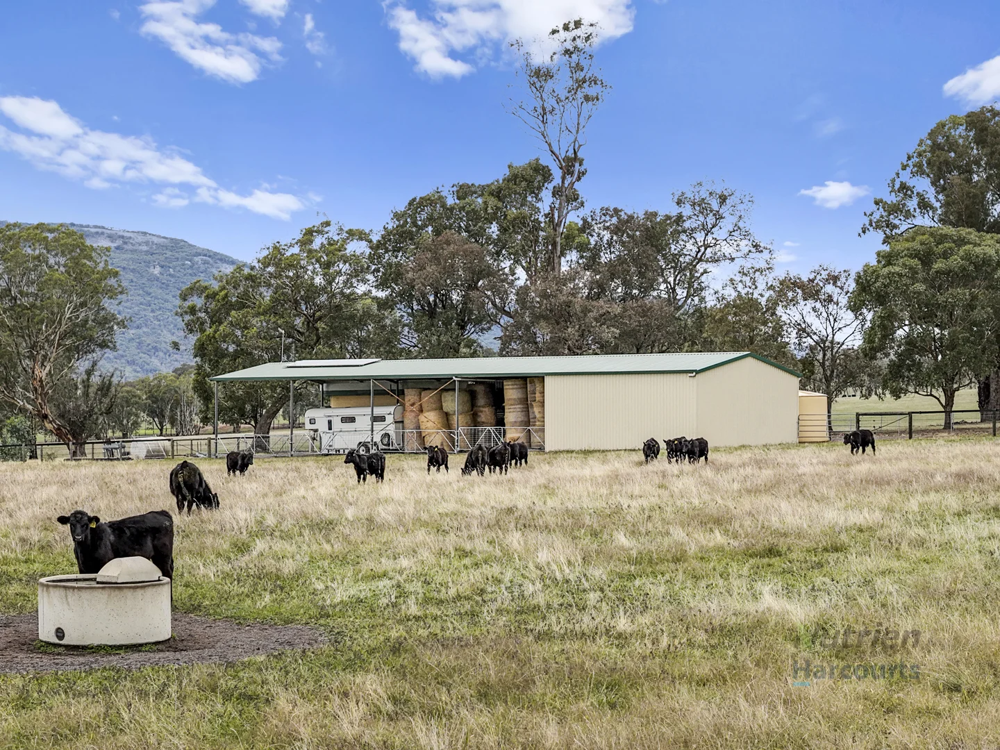 Additional image 7 of 80 Millards Lane, Euroa VIC 3666