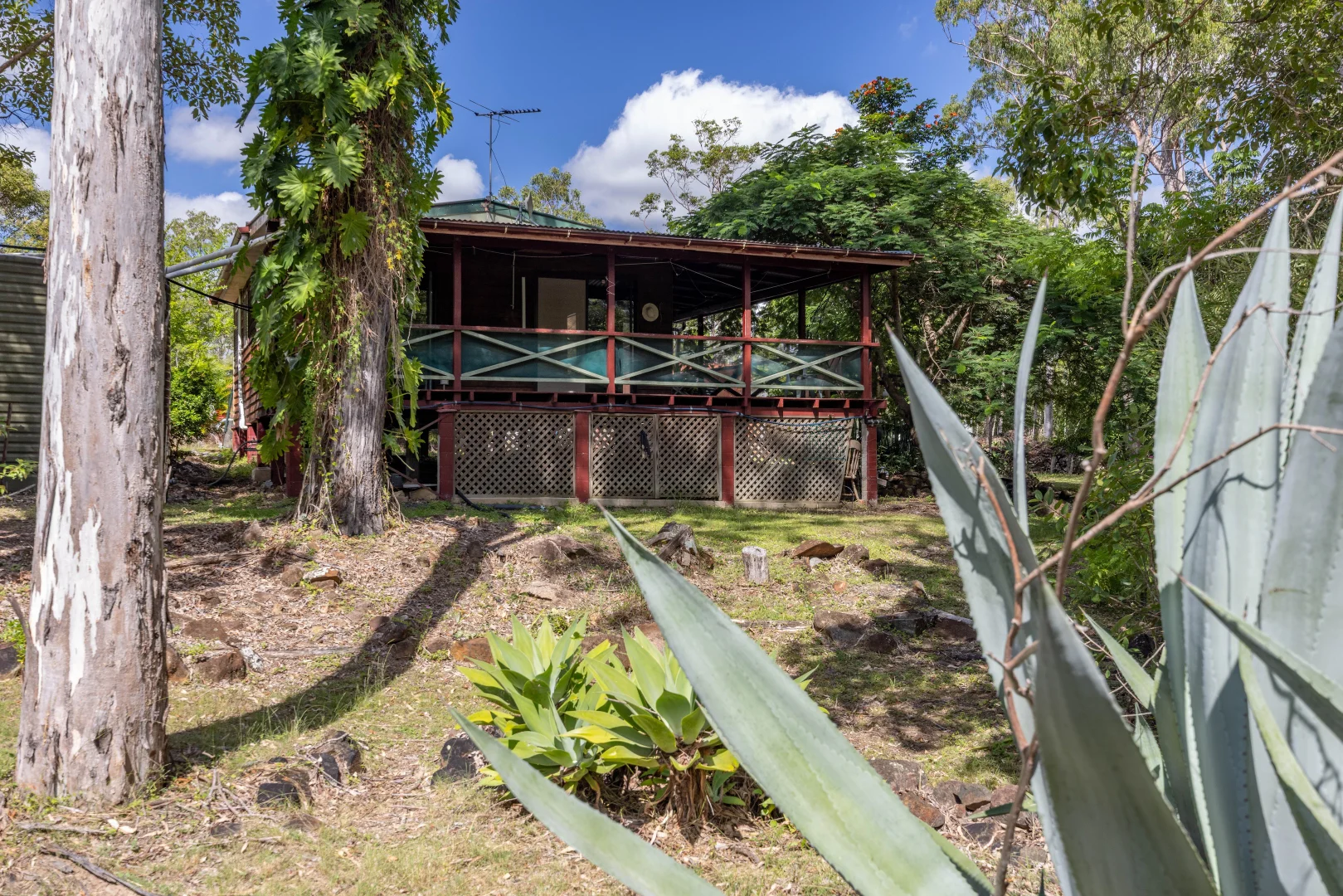 Additional image 11 of 103 Arbornine Road, Glenwood QLD 4570