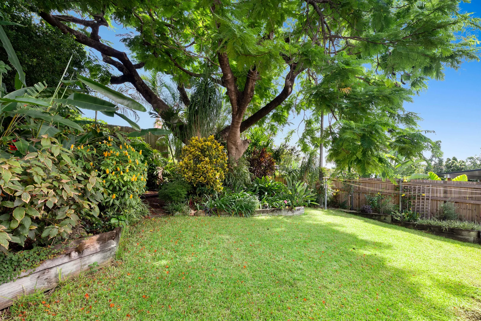 Additional image 15 of 17 Joynt Street, Hamilton QLD 4007