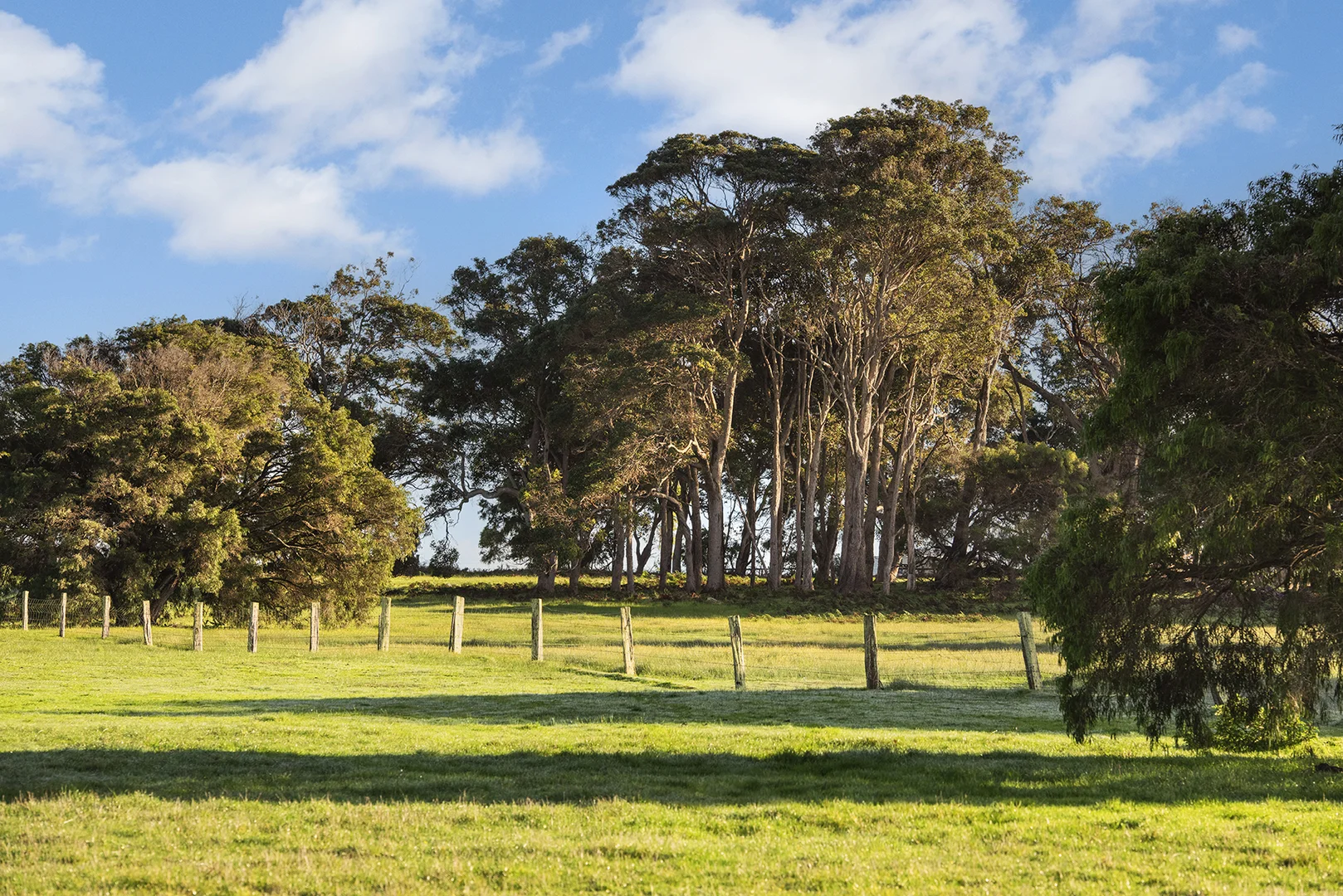 Additional image 3 of Lot 46 Blackwood Grove, Kudardup WA 6290