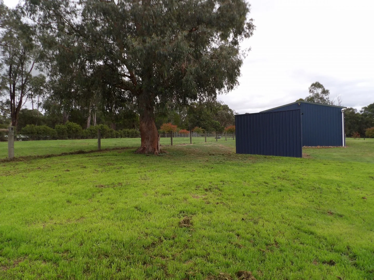 Additional image 16 of 53 Burns Road, Glenburn VIC 3717