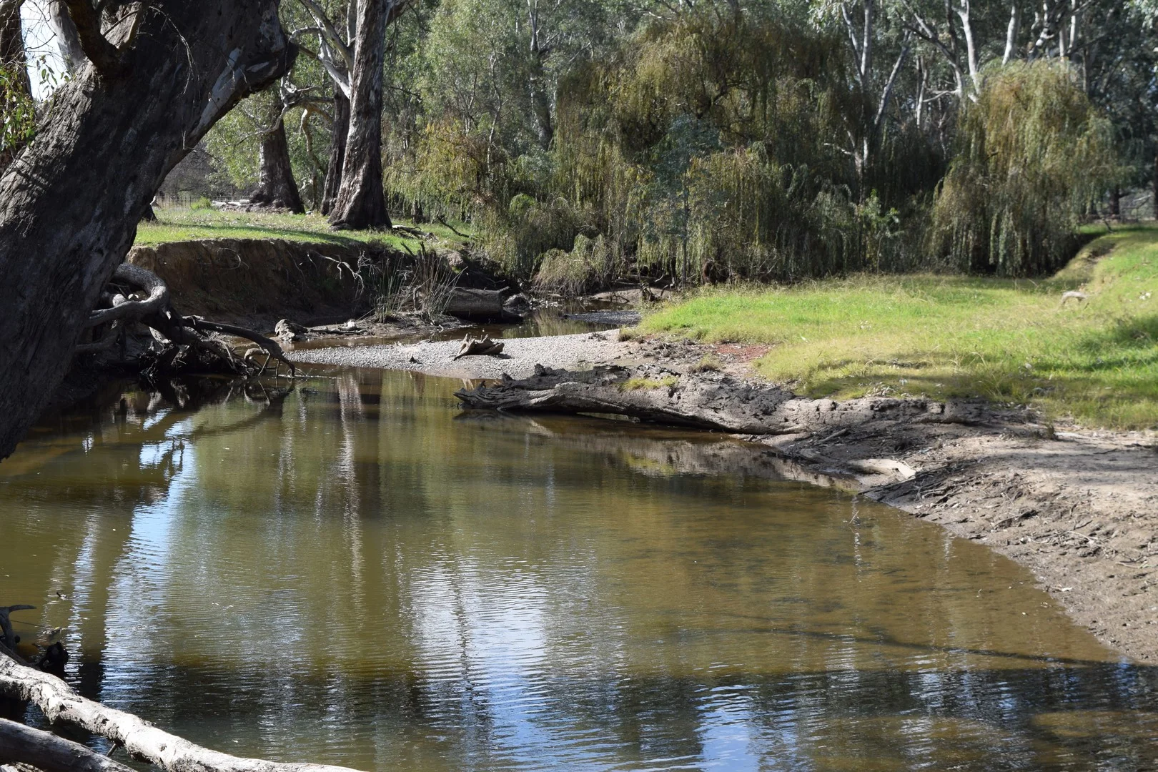 Additional image 3 of lot 5/3905 Riverina Highway, Bungowannah NSW 2640
