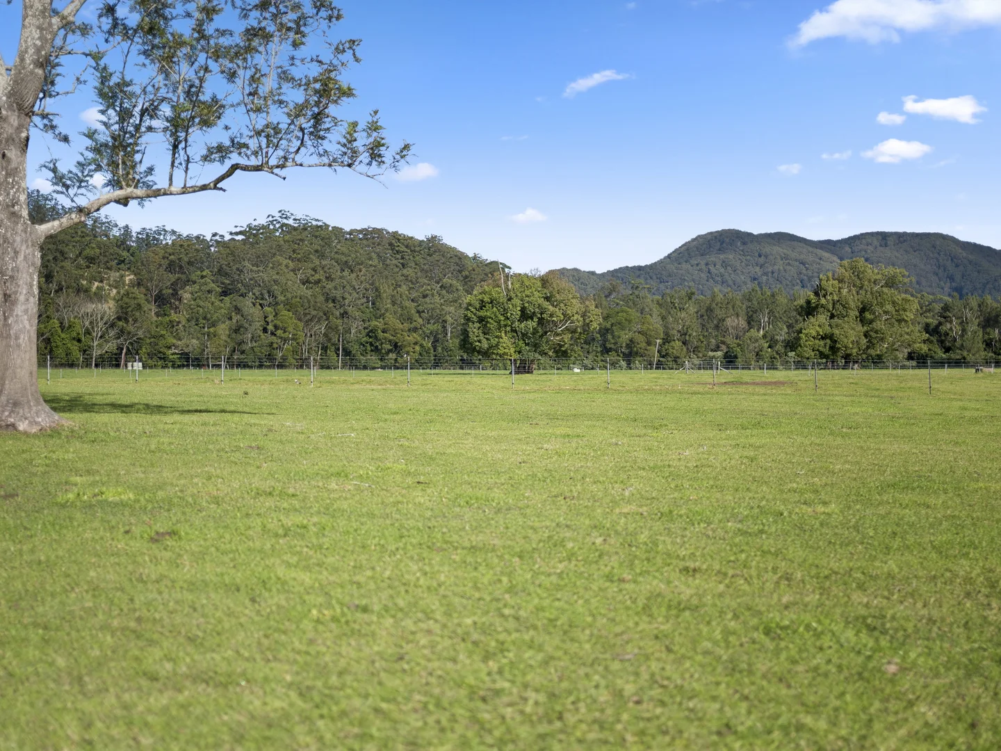 Additional image 31 of 339 Dairyville Road, Upper Orara NSW 2450