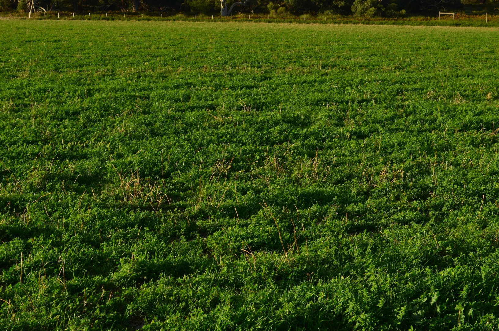 Additional image 36 of Southern Ports Highway, Mount Benson SA 5275