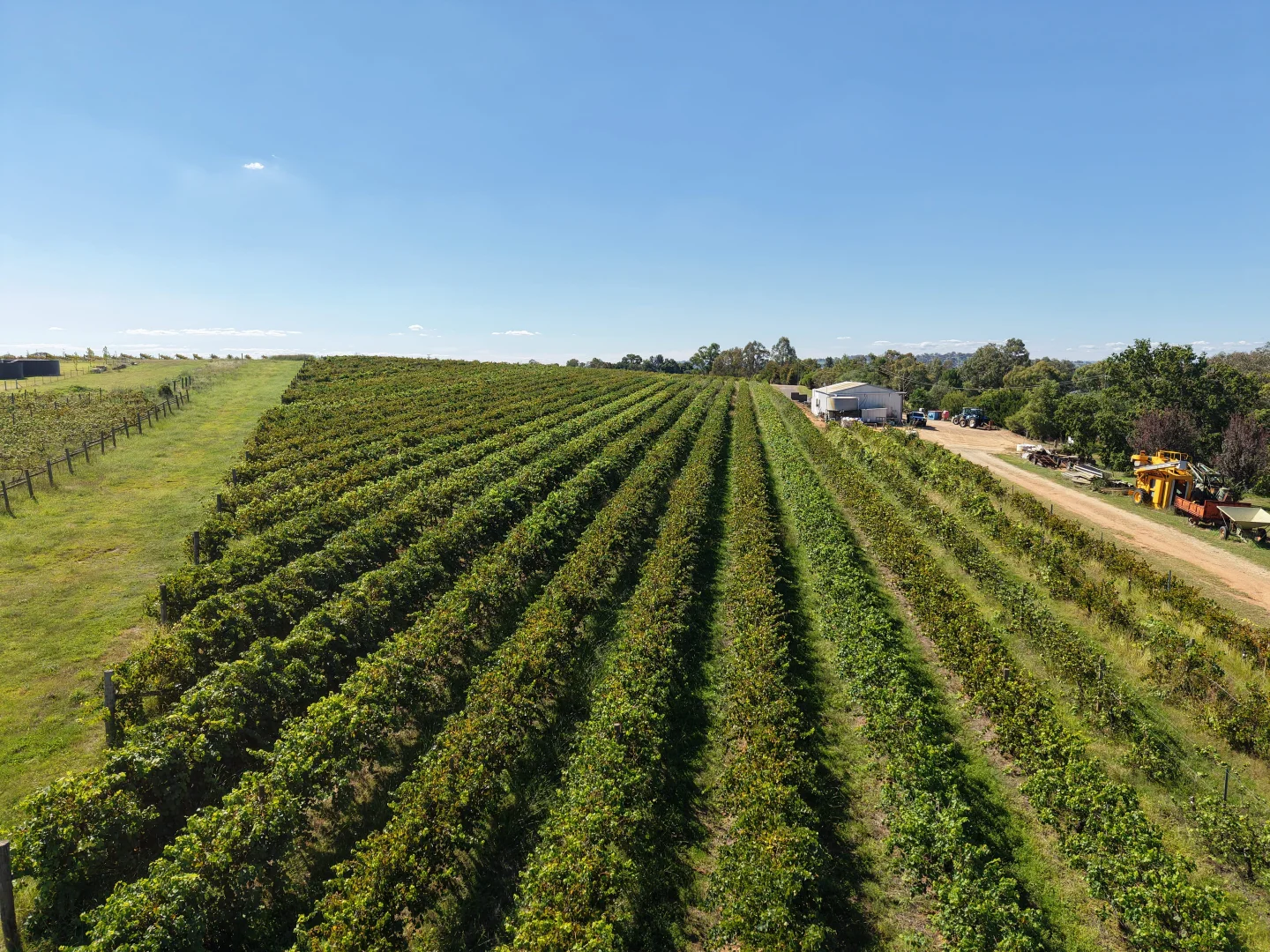 Additional image 2 of Lot 10 Chardonnay Lane, Cowra NSW 2794