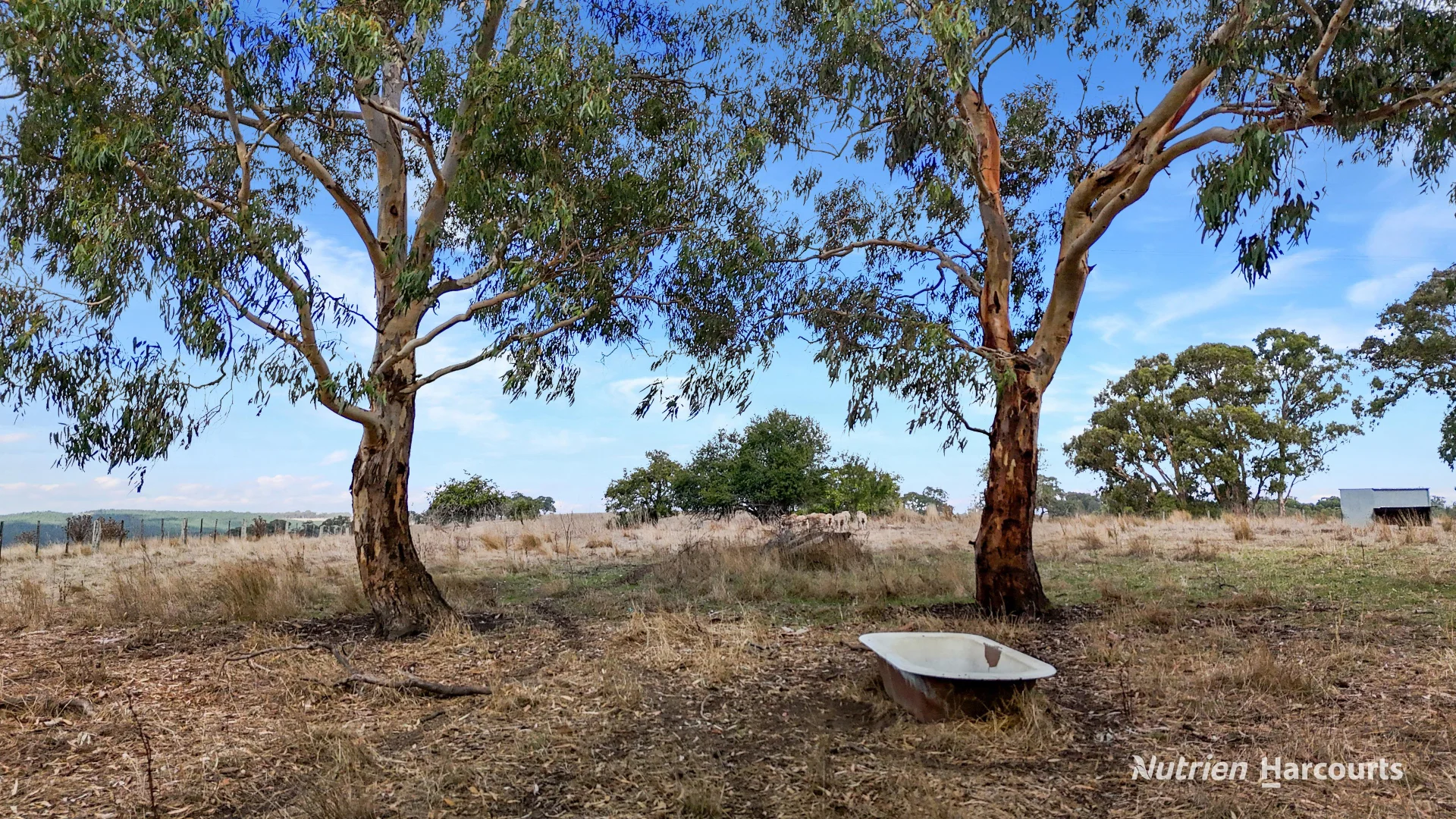 Additional image 7 of Lot 1 Old Mt Gambier Road, Casterton VIC 3311