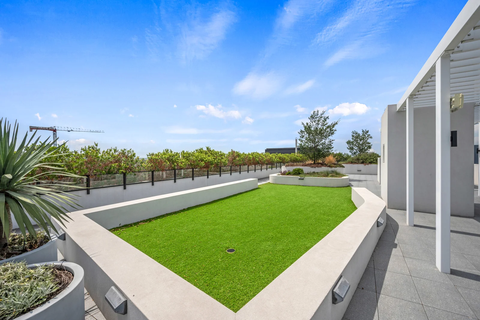 Additional image 13 of 75 Norton Street, Ashfield NSW 2131