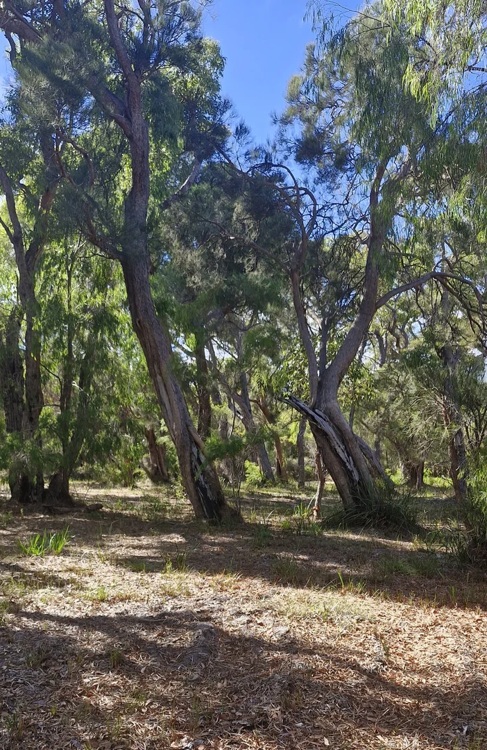 Additional image 2 of 14 Burton Close, Walpole WA 6398