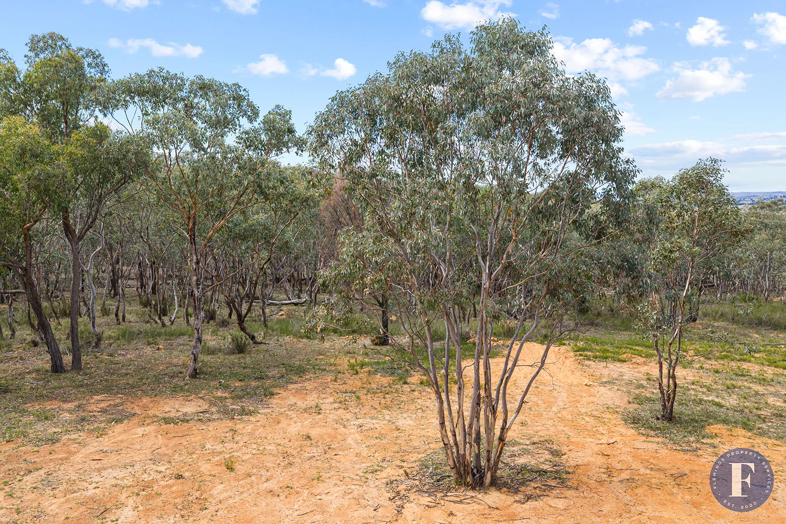 Additional image 16 of 29 Caringa Road, Godfreys Creek NSW 2586