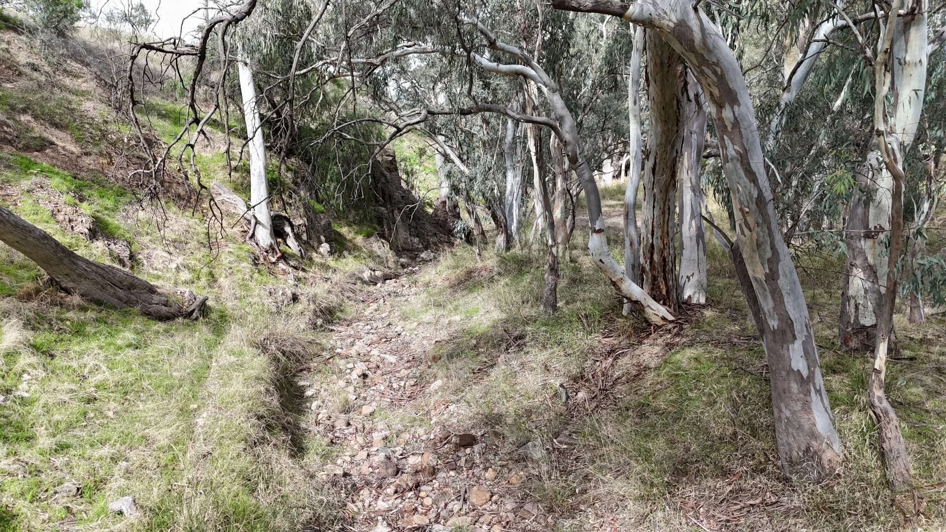 Additional image 33 of 350 Beetaloo Valley Road, Beetaloo Valley SA 5523