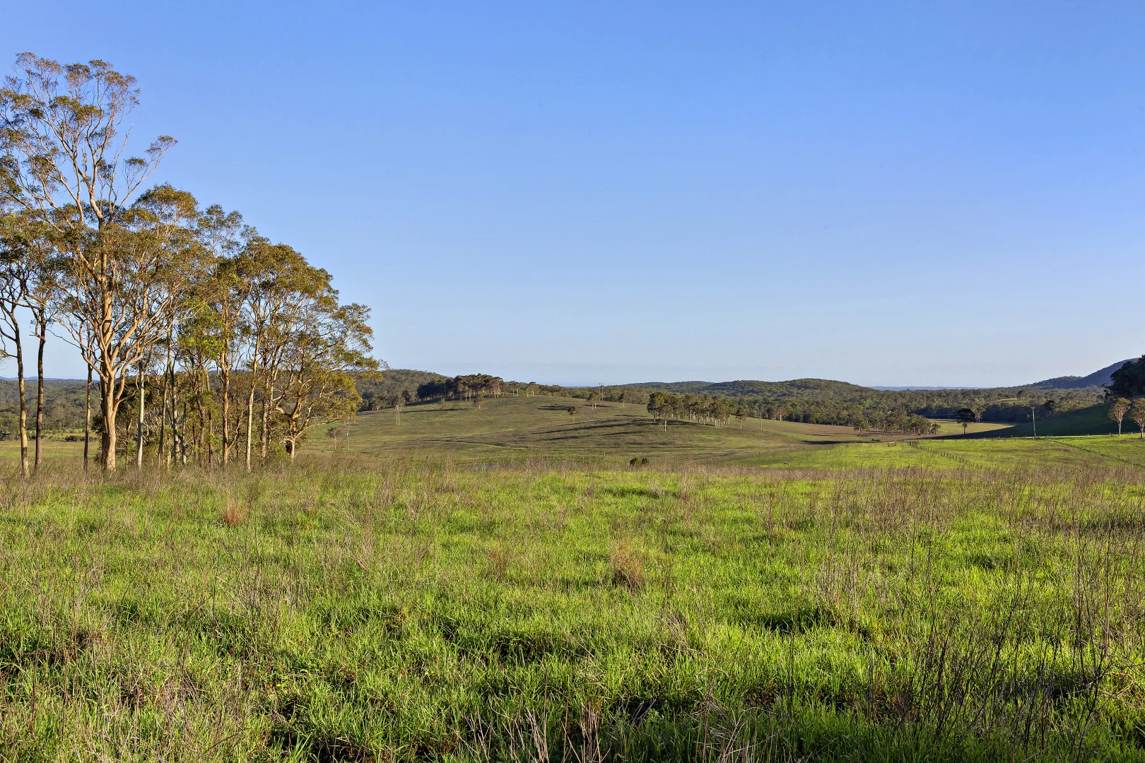 Additional image 8 of 278 Halloran Road, North Arm Cove NSW 2324