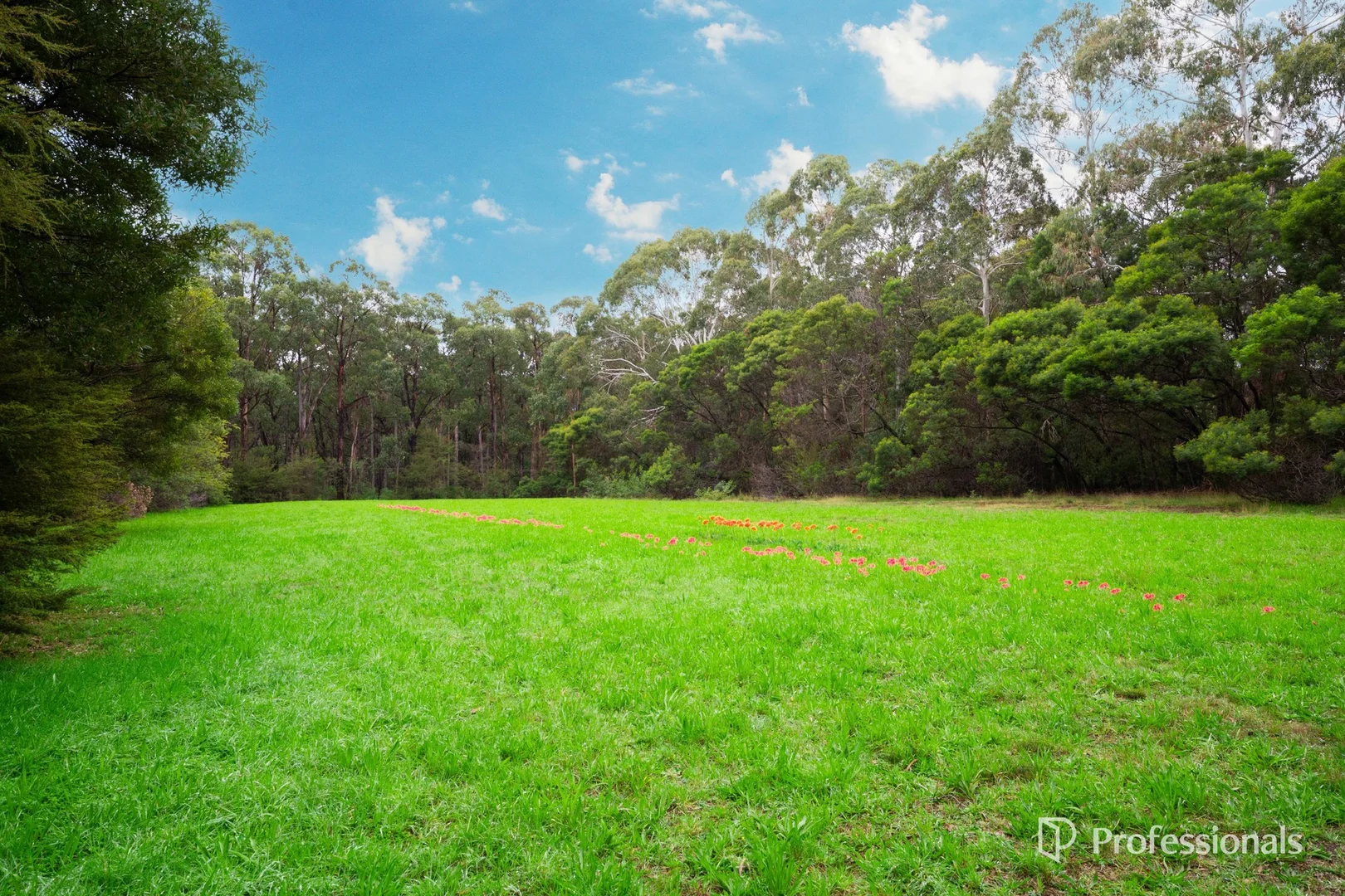 Additional image 4 of 160 Worlley Road, Hoddles Creek VIC 3139