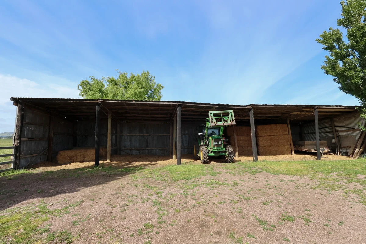 Additional image 16 of 'Avon Park Farm' 310 Chocolyn Road, Camperdown VIC 3260