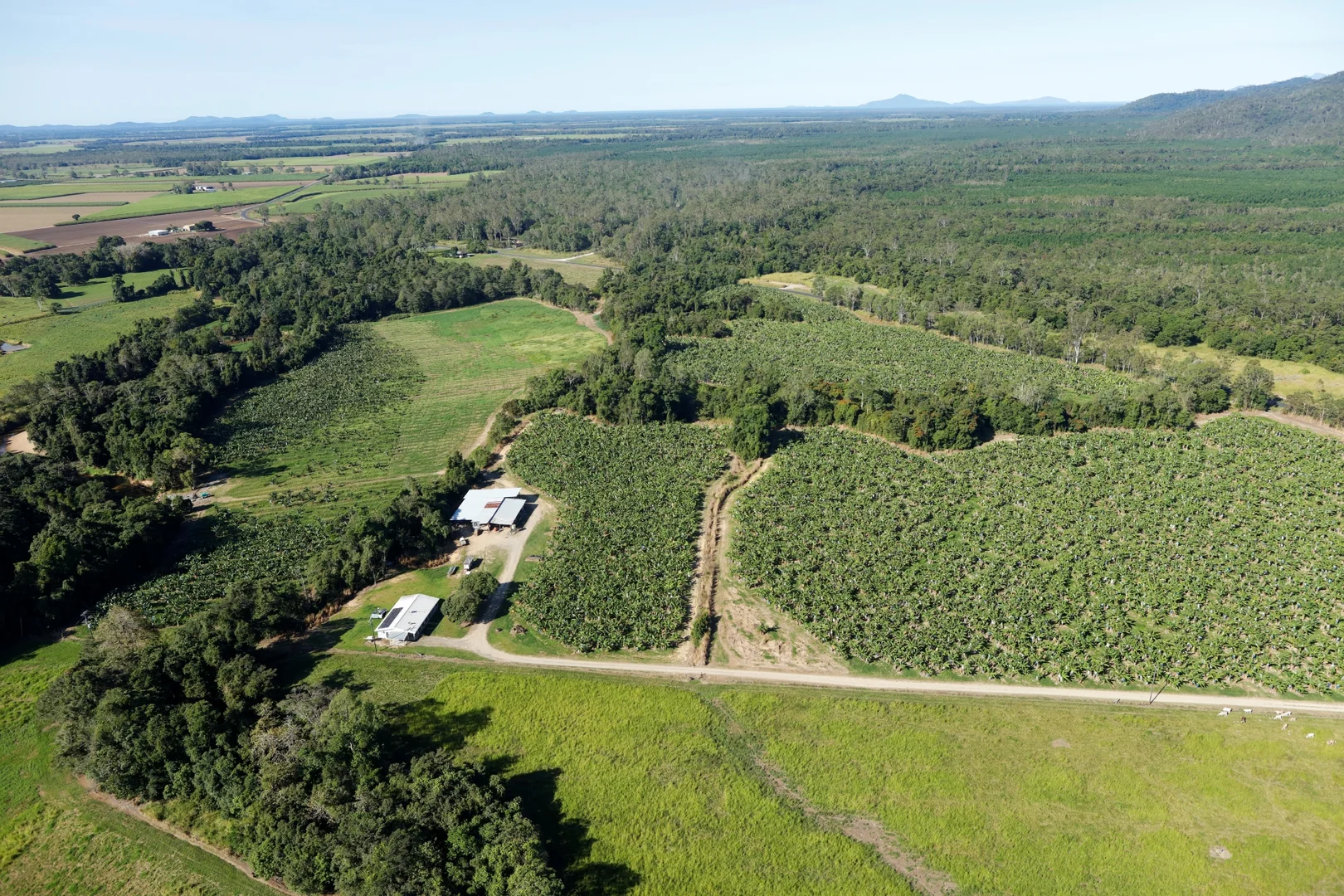 Additional image 4 of 164 Middle Murray Road, Murray Upper QLD 4854