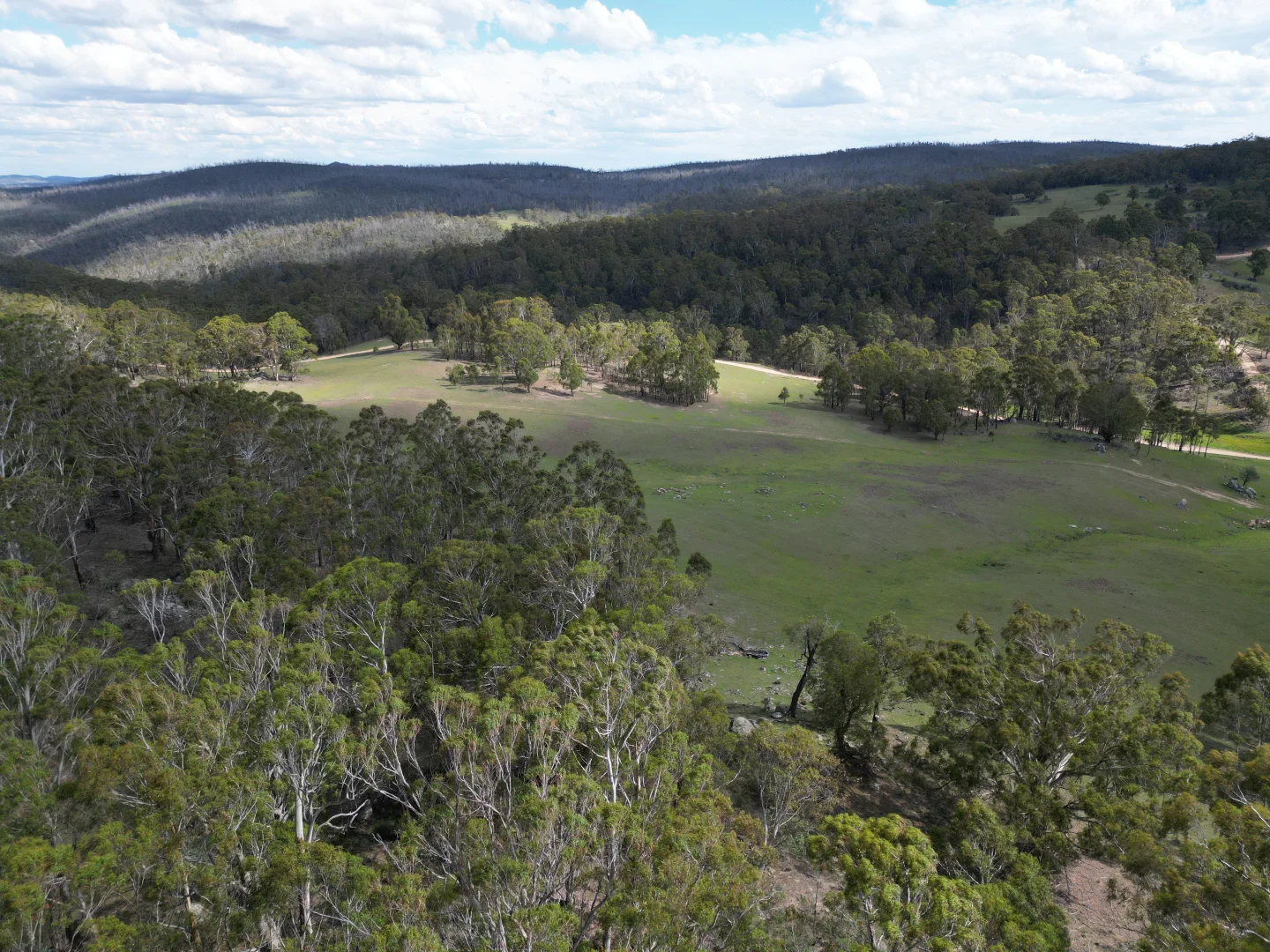 Additional image 24 of 29, 175 Tumbledown Road, Peak View NSW 2630