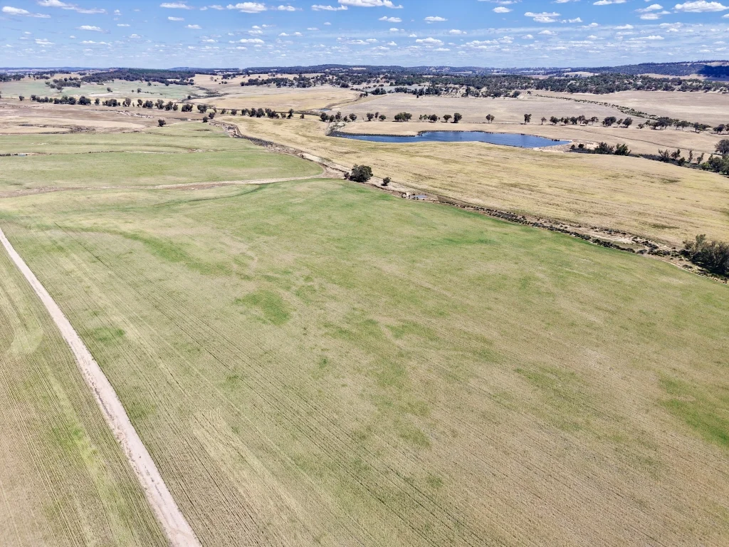 Butchers Road, Dale WA 6304