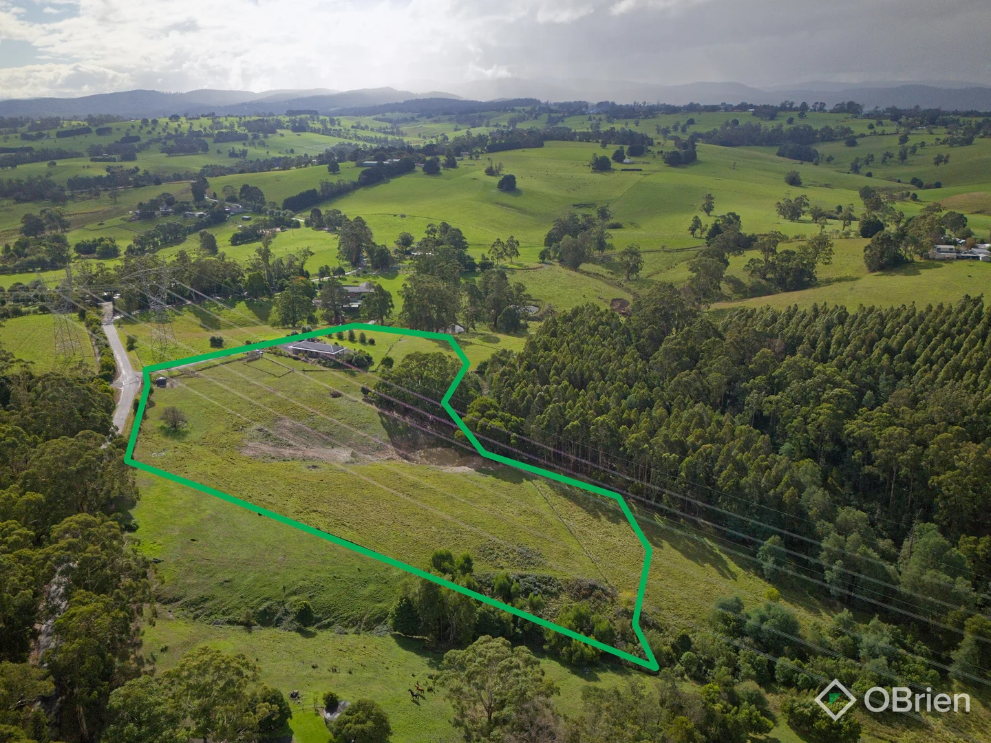 Additional image 16 of 135 Mason Road, Jindivick VIC 3818