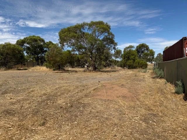 14 Fogarty Street, Mingenew WA 6522